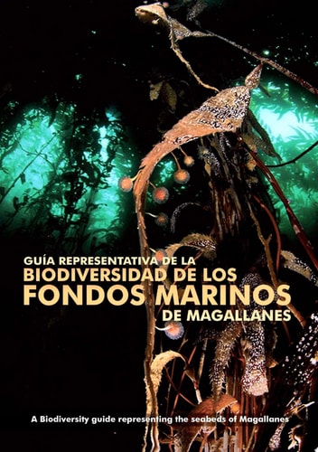 Guia representativa de la biodiversidad de los fondos marinos de magallanes