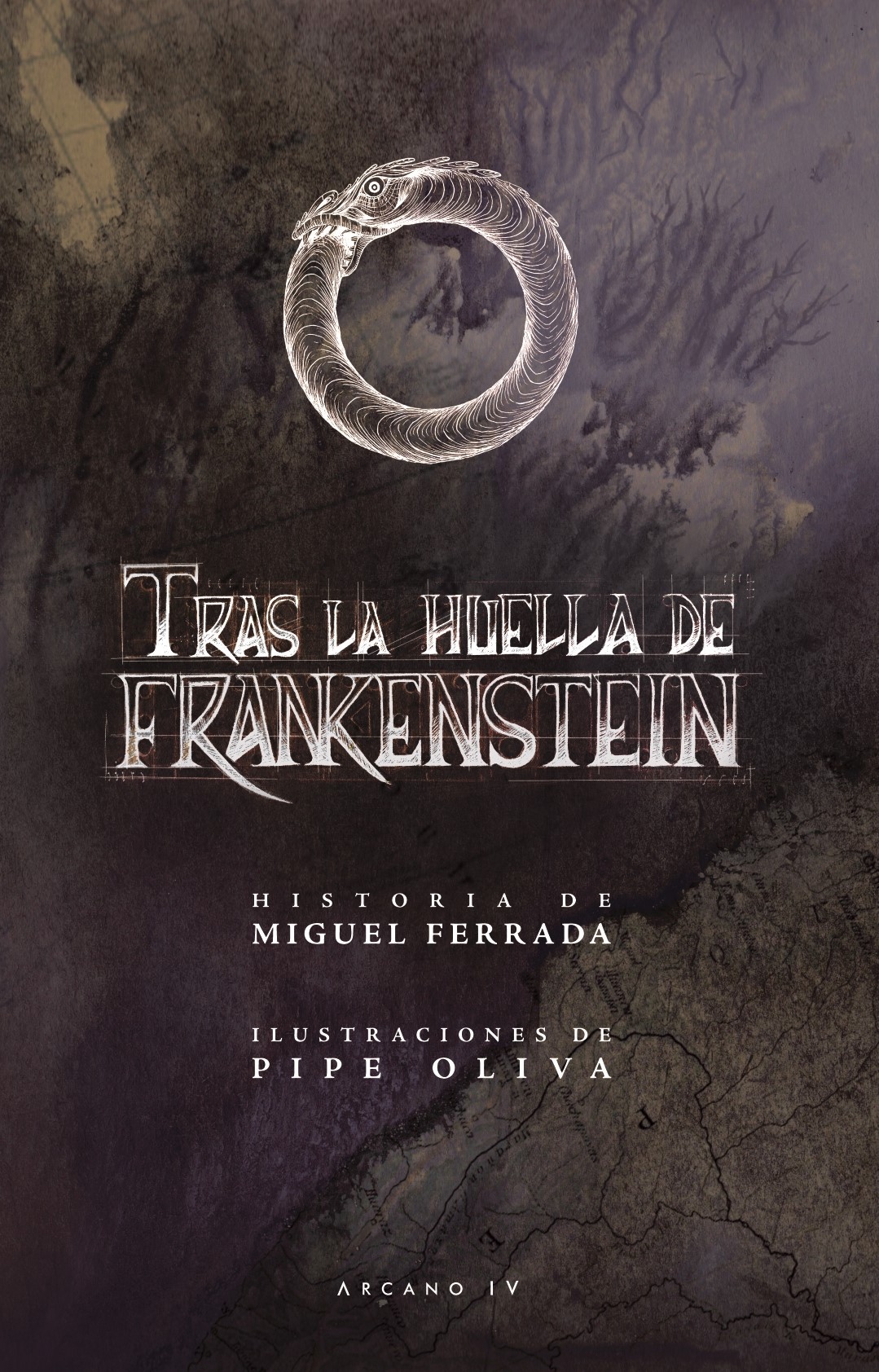 Tras la huella de Frankenstein cover