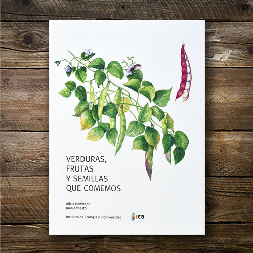 Verduras, frutas y semillas que comemos cover