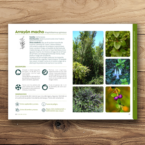 Árboles del parque botánico de hualpén