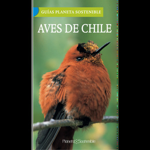 Aves de Chile