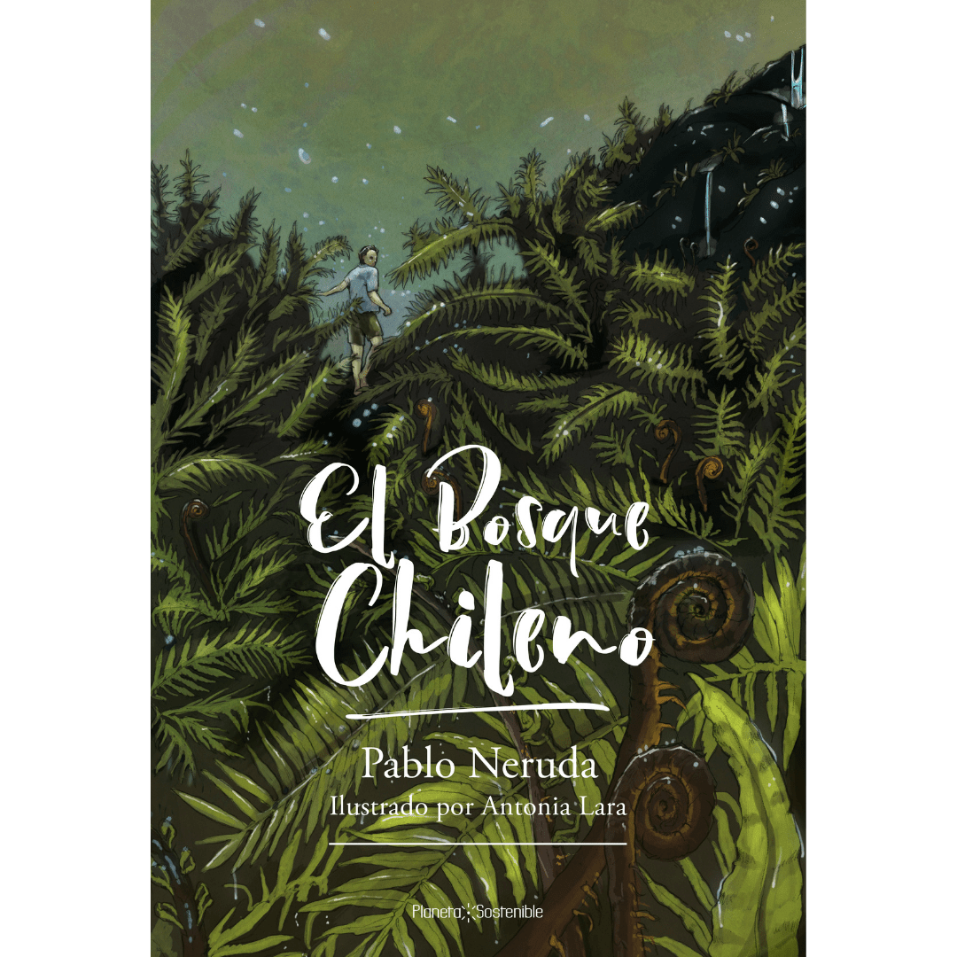 El bosque chileno
