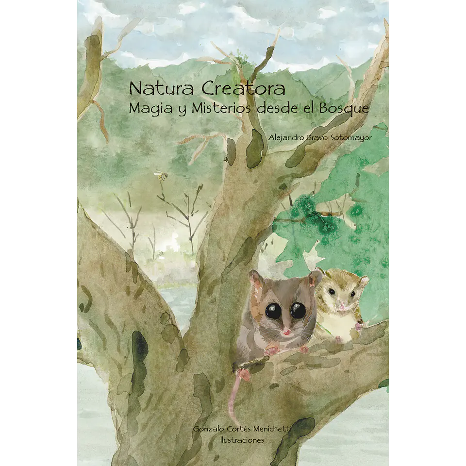 Natura Creatora Magia y Misterios desde el bosque cover