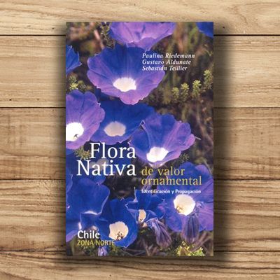 Flora nativa de valor ornamental