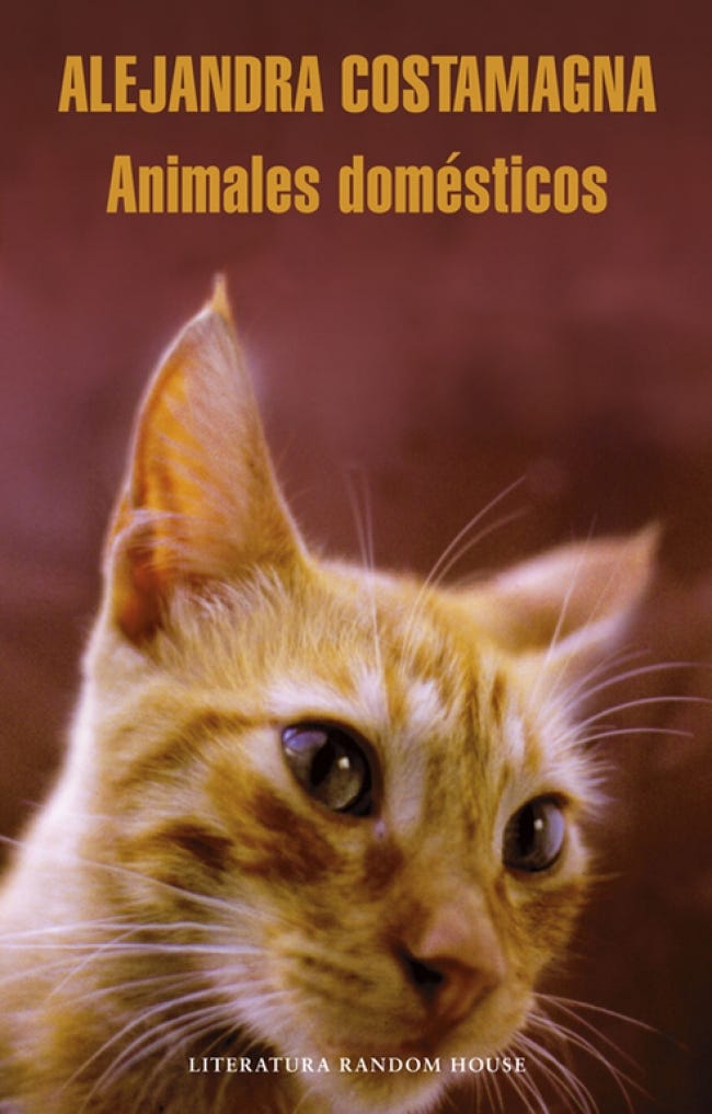 Animales domésticos cover