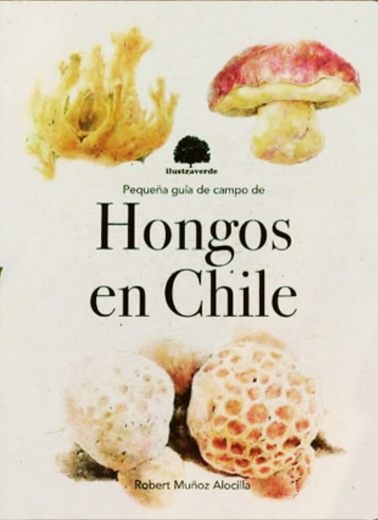 Pequeña guía de campo de hongos en chile