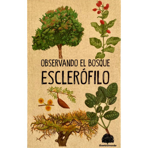 Observando el Bosque ESCLERÃFILO cover