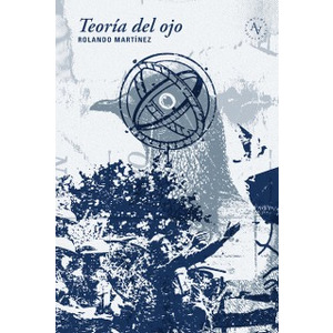 Teoría del ojo