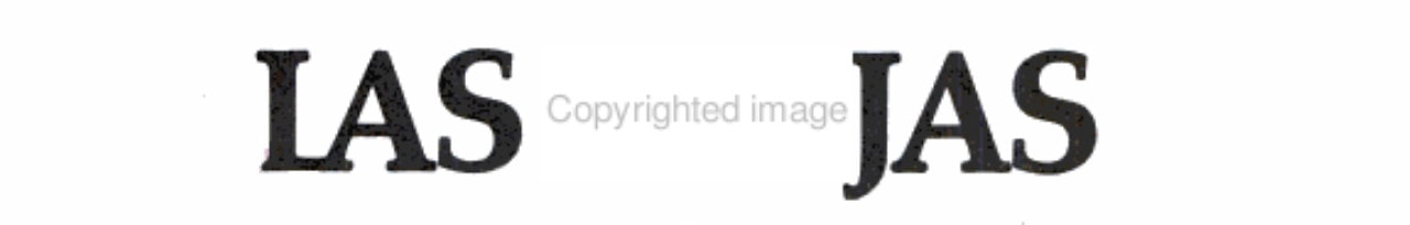 El fascinante mundo de las abejas cover