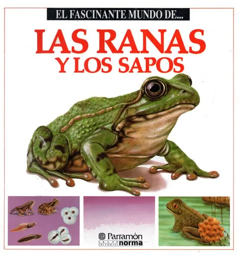 Las ranas y los sapos