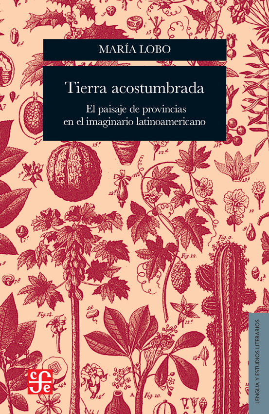 La tierra y los ensueños de la voluntad