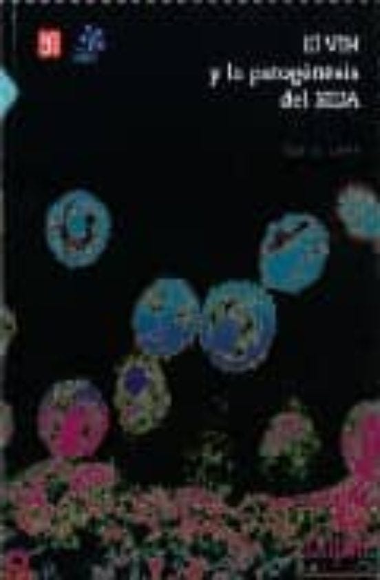El jinete del dragón cover