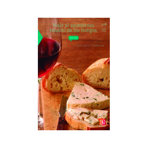 Viaje al asombroso mundo de los hongos