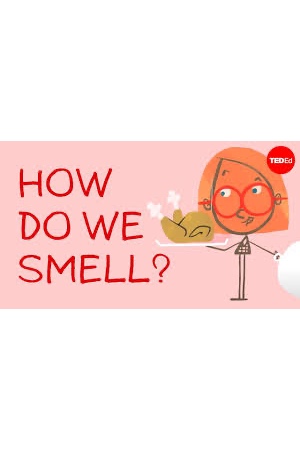 Como Huelo? (How Do I Smell?) cover