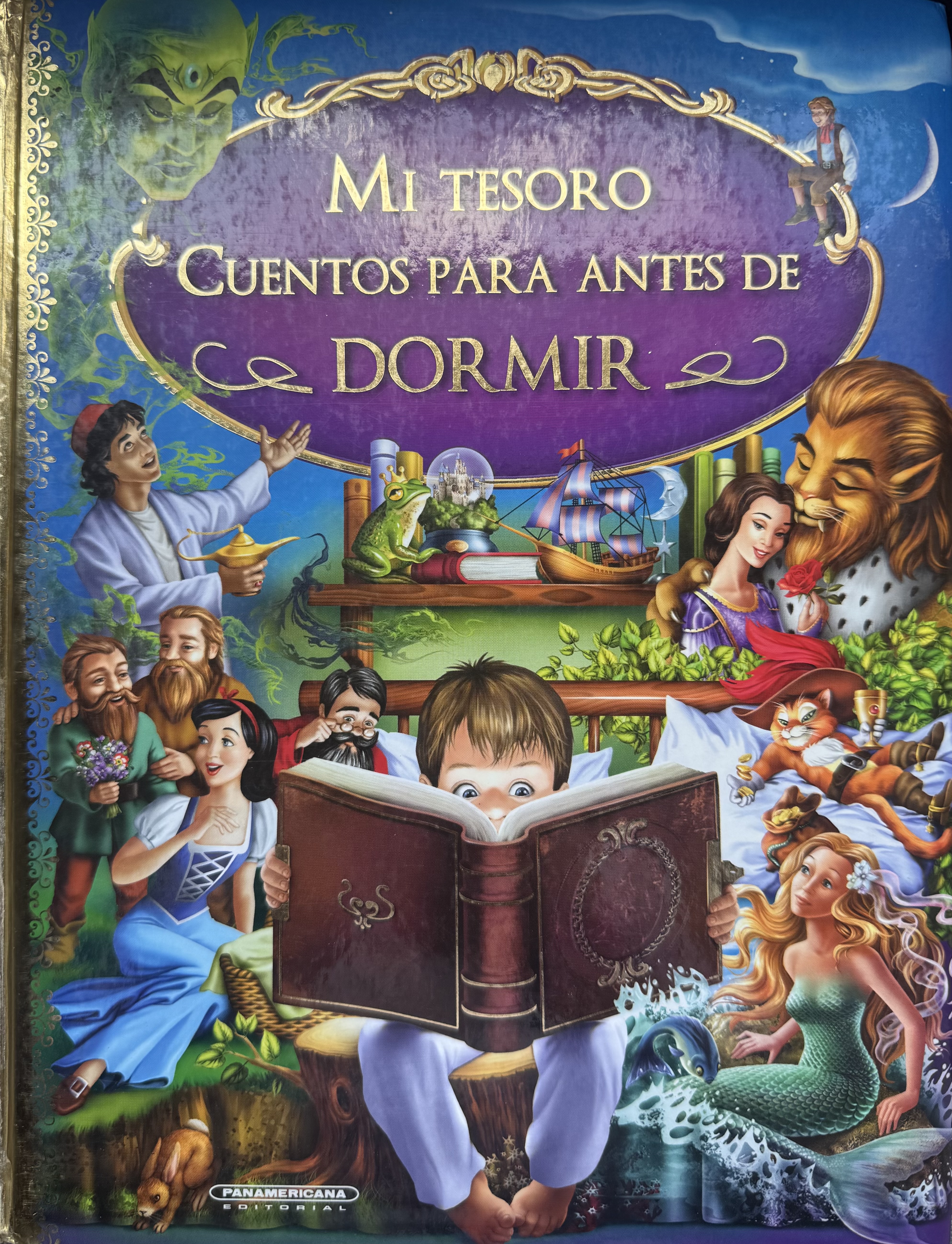 Selva tropical cover