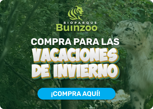 El arte de tejer: Bebés cover