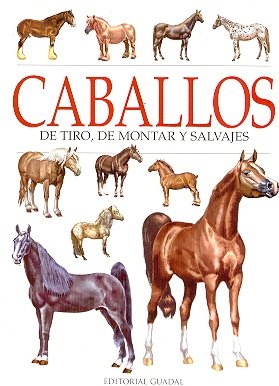 Caballos de Tiro de Montar y Salvajes cover