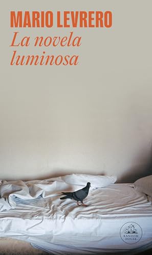 La novela luminosa