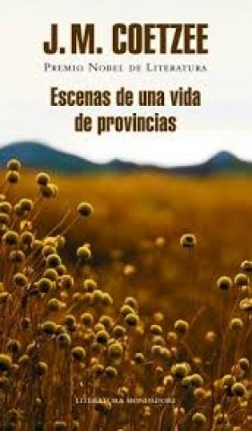 Escenas de una vida de provincia cover