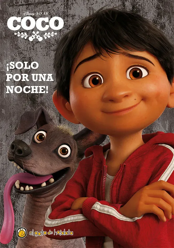 ¡Solo por una noche! cover