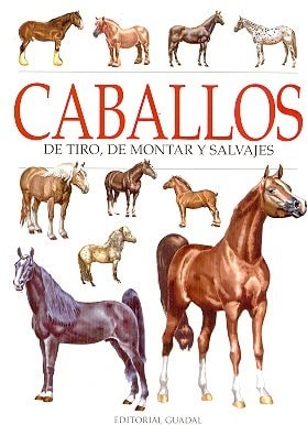 Caballos de tiro, de montar y salvajes cover