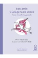 Benjamín y la laguna de Chaxa