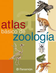 Zoología cover