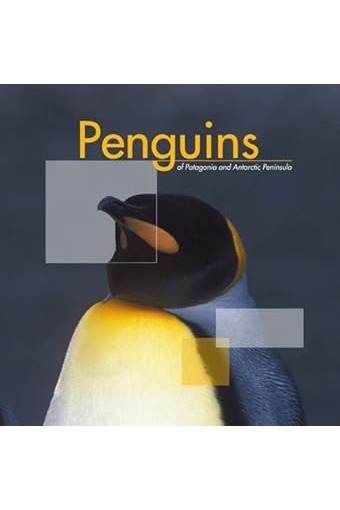 Penguins/Pingüinos