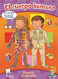 El cuerpo humano cover