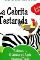 La cebrita testaruda