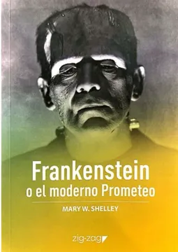 Frankenstein o el Moderno Prometeo cover