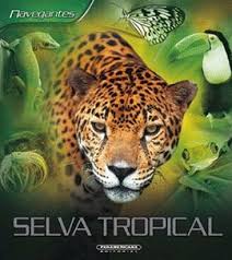 Selva Tropical
