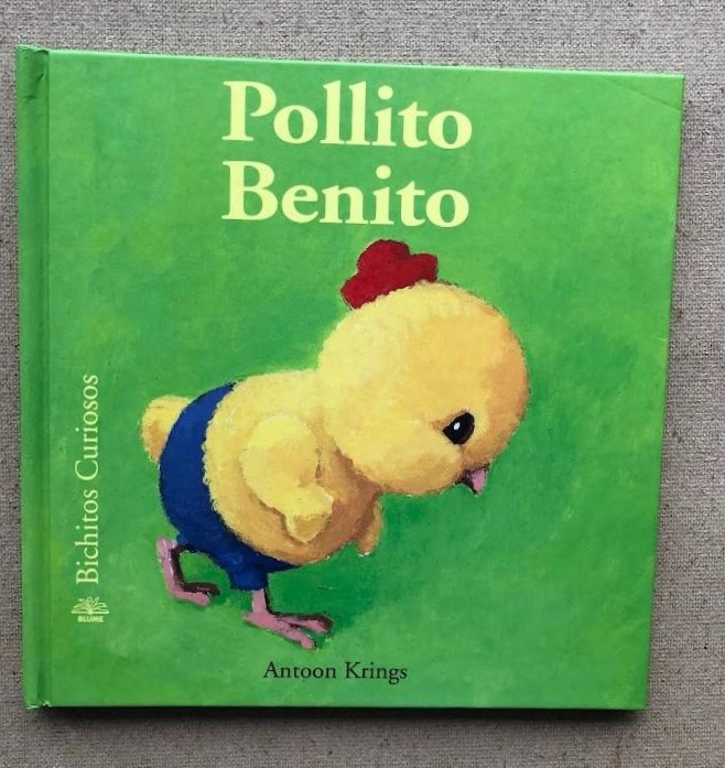 Pollito Benito