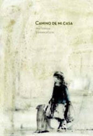 Camino de mi casa