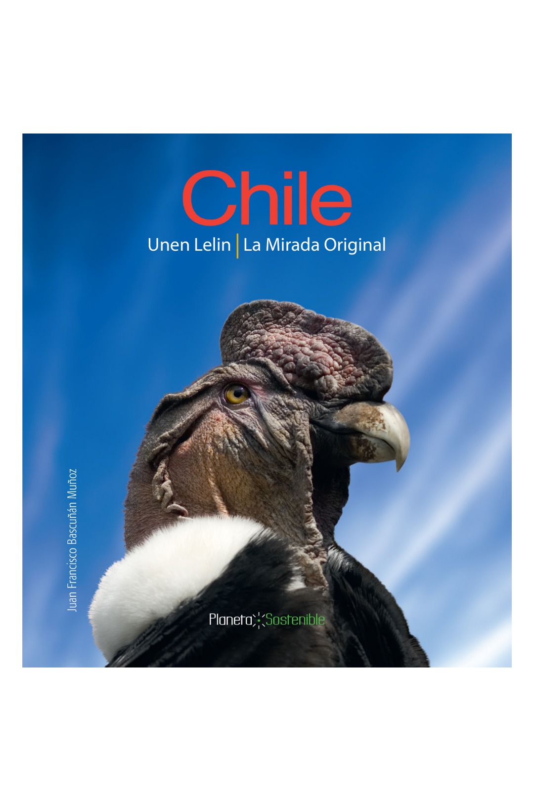 Chile: cover