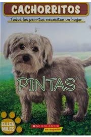 Pintas: cover