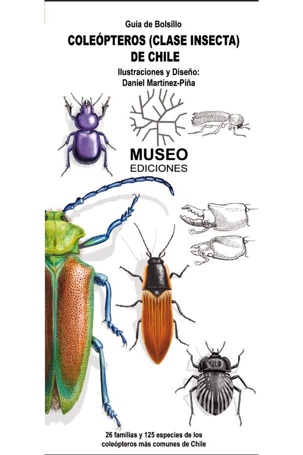 Coleópteros (clase insecta) de Chile.