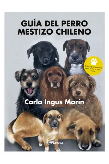 Guía del perro mestizo chileno