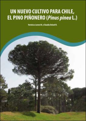 Un nuevo cultito para Chile, el pino piñonero (Pinus pinea L.) cover