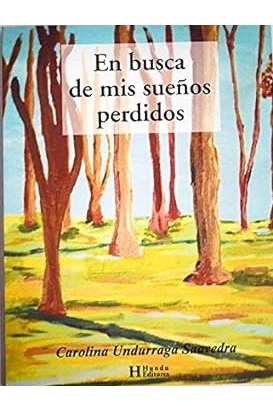 En busca de mis sueños perdidos cover