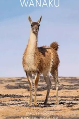 Wanaku