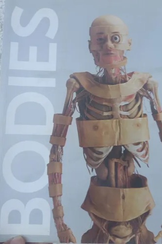 Bodies The exhibition cover