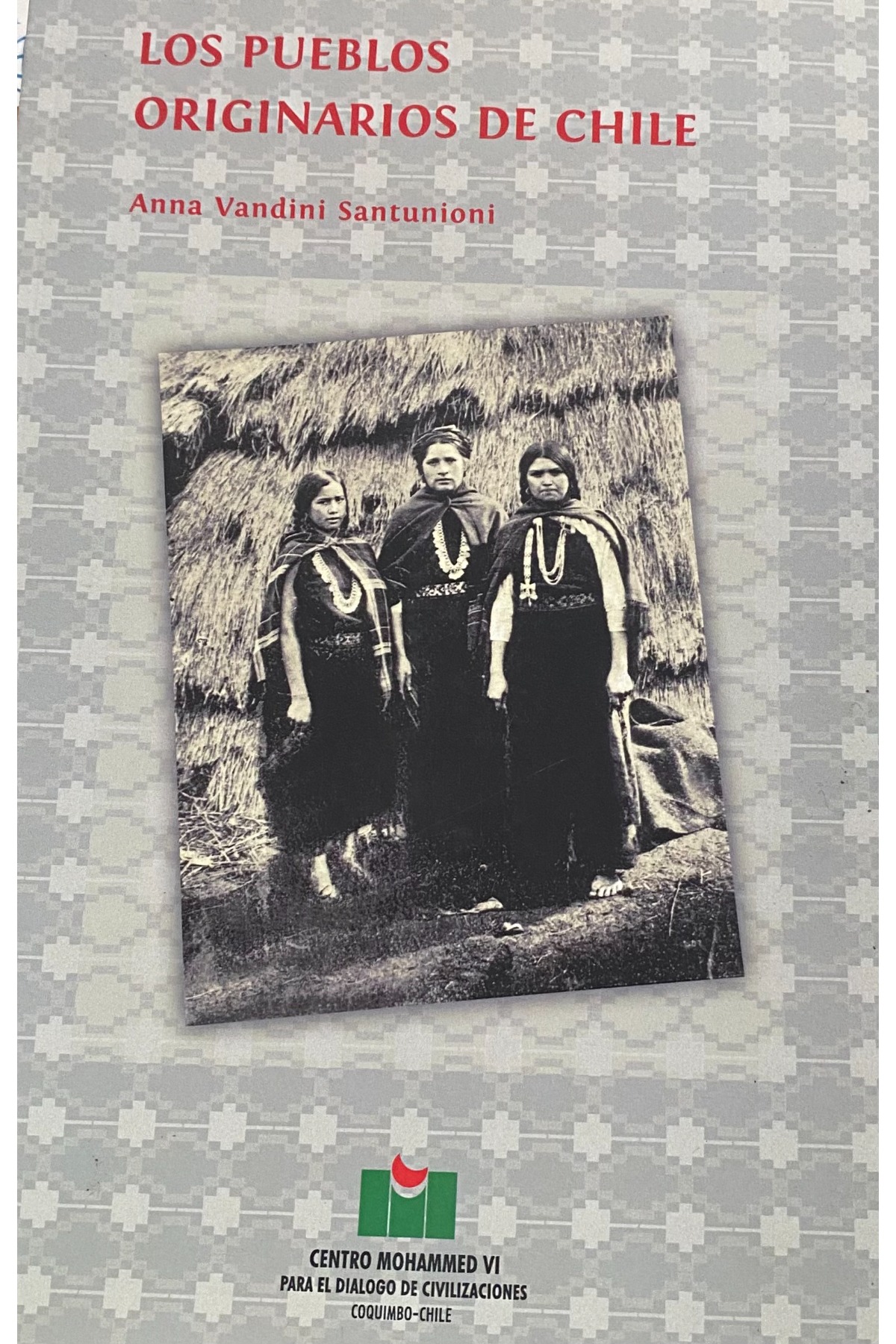 LOS PUEBLOS ORIGINARIOS DE CHILE cover