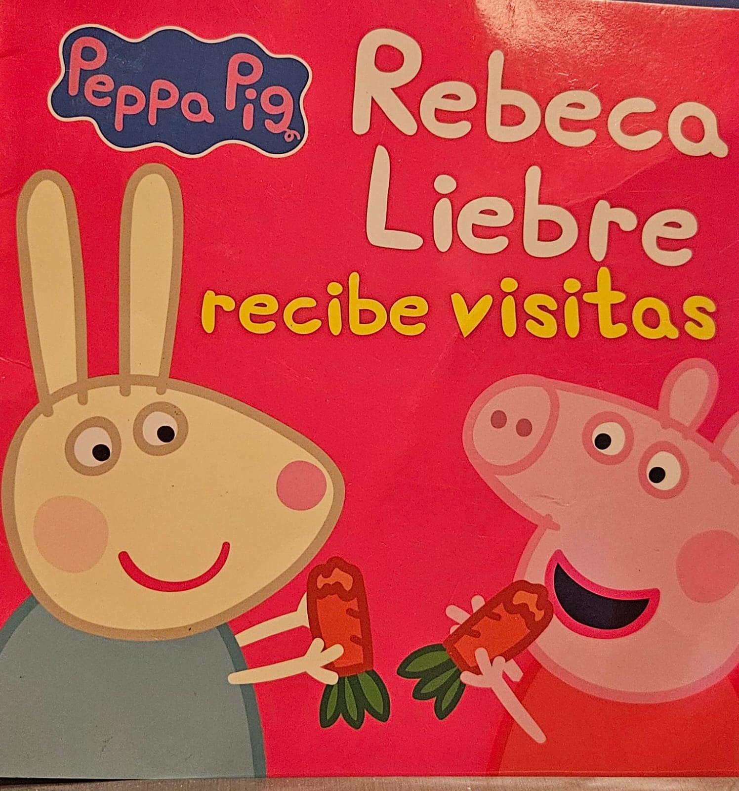 Rebeca Liebre recibe visitas cover