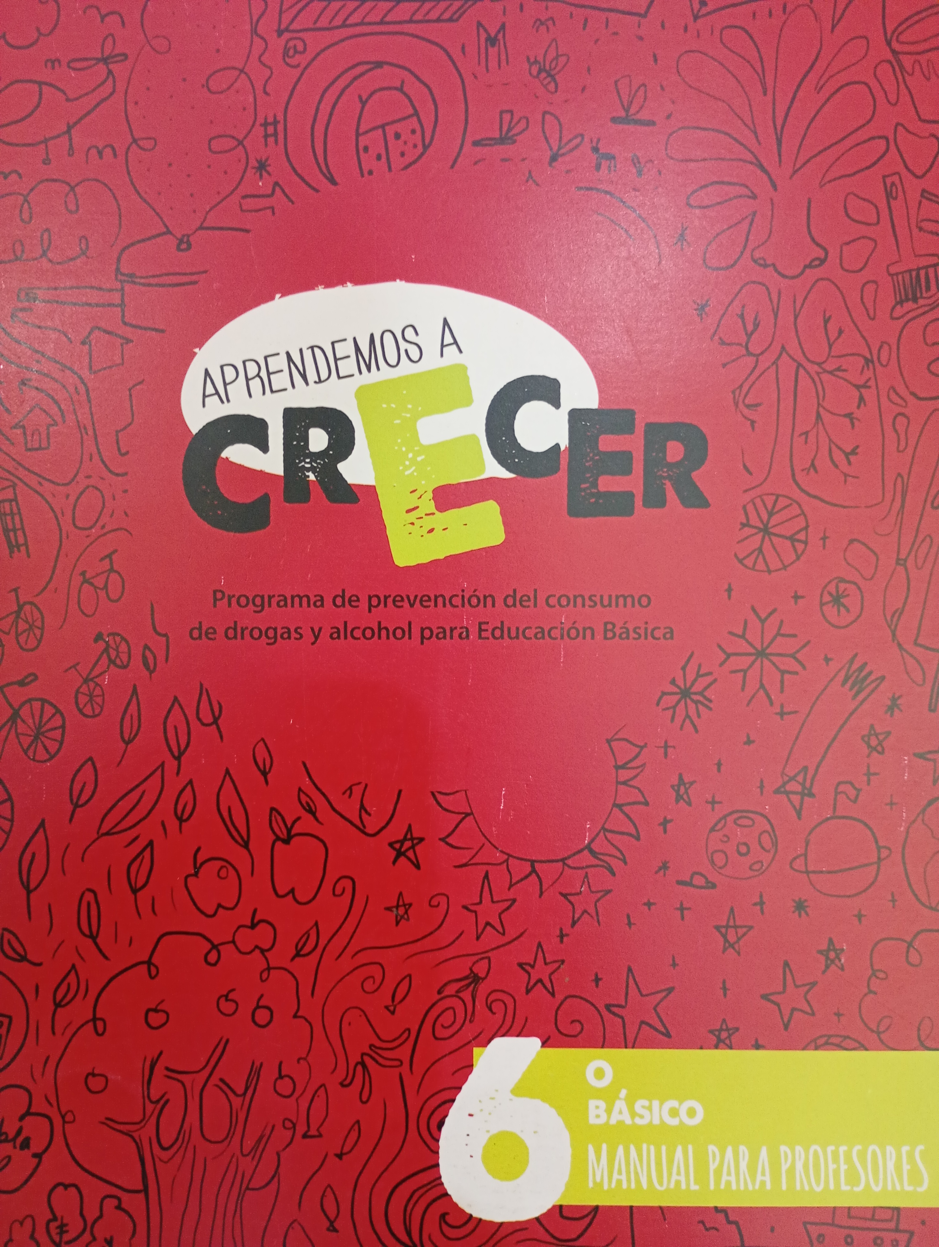 APRENDEMOS A CRECER 6 °BASICO cover