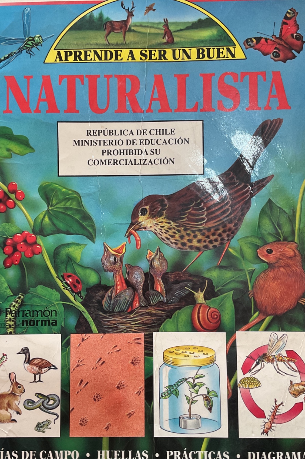 Aprende a ser un buen naturalista cover