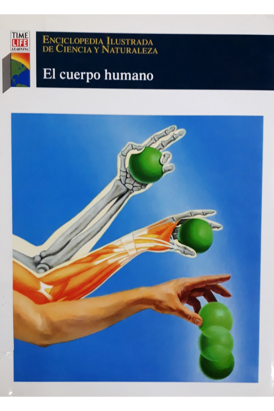 El cuerpo humano cover