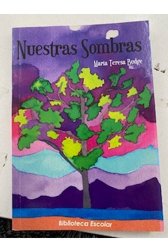 Nuestras sombras cover
