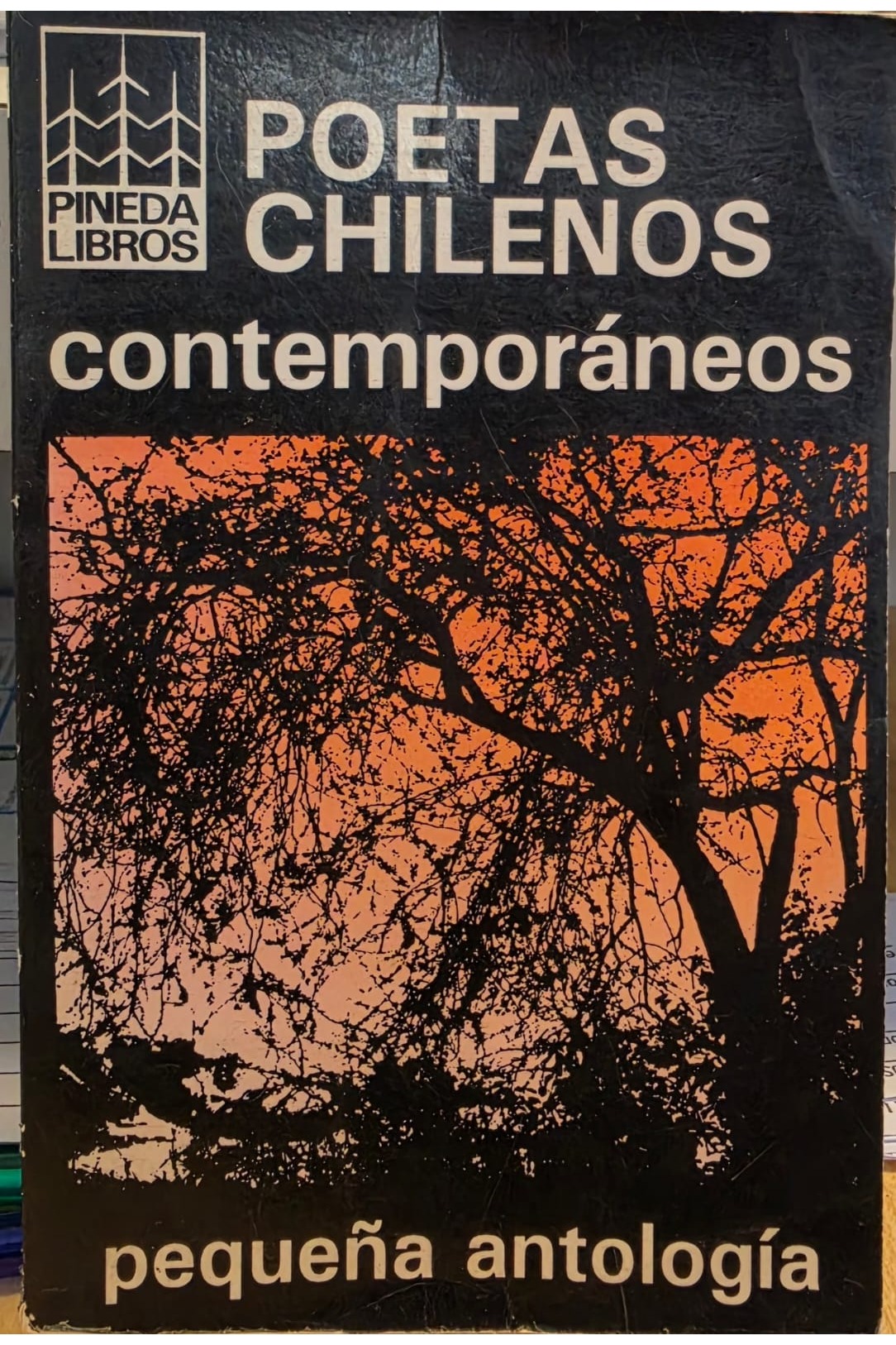 Poetas Chilenos contemporáneos pequeña antología