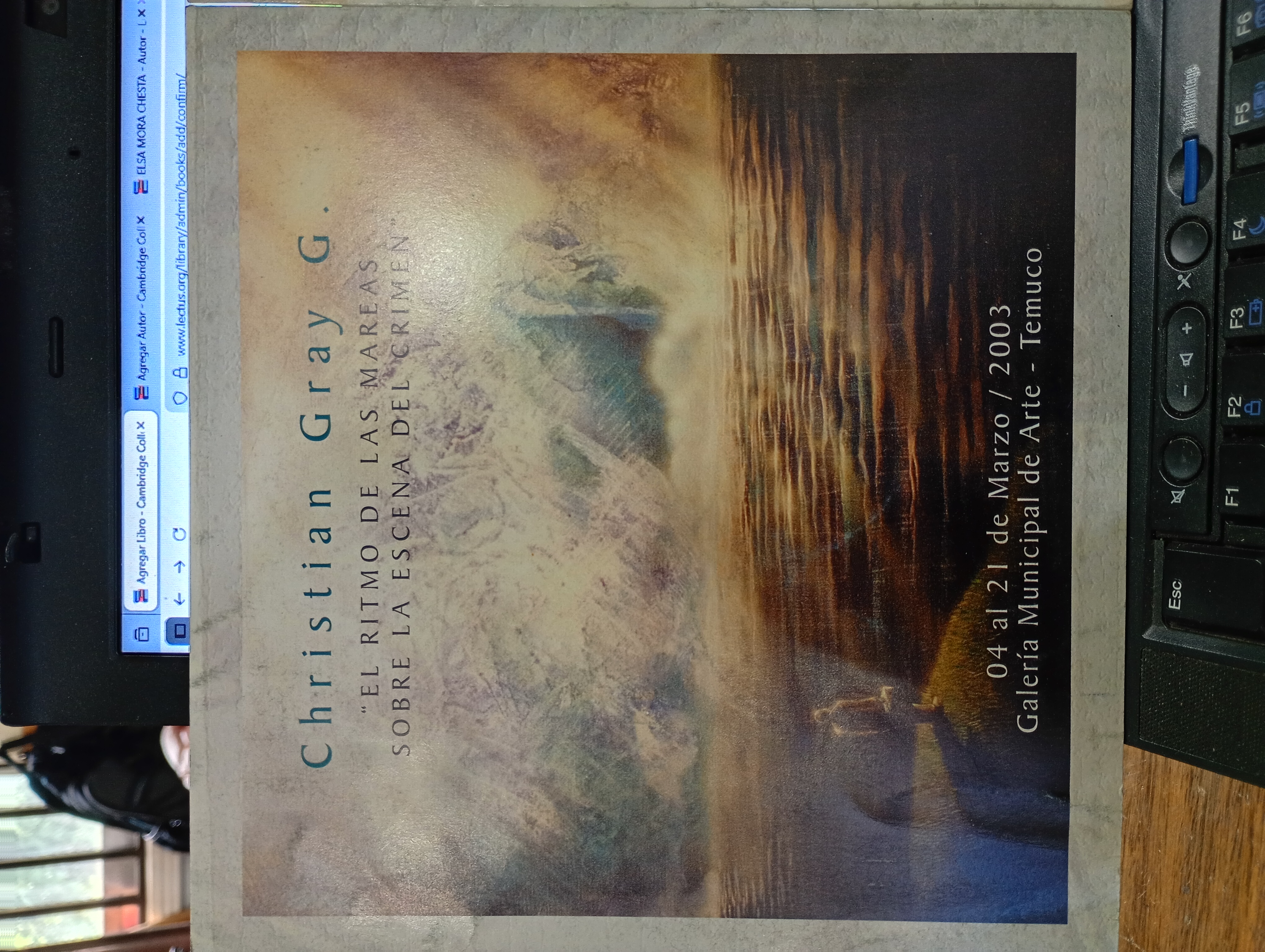 "PINTORES DE TEMUCO" cover